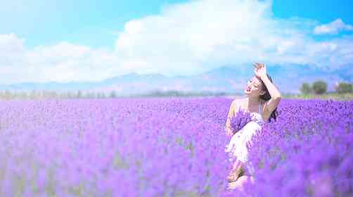 国内哪里可以看薰衣草?薰衣草花田哪里最美?