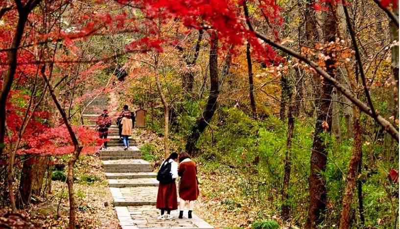 南京紫金山门票多少钱?紫金山景区有哪些风景看点