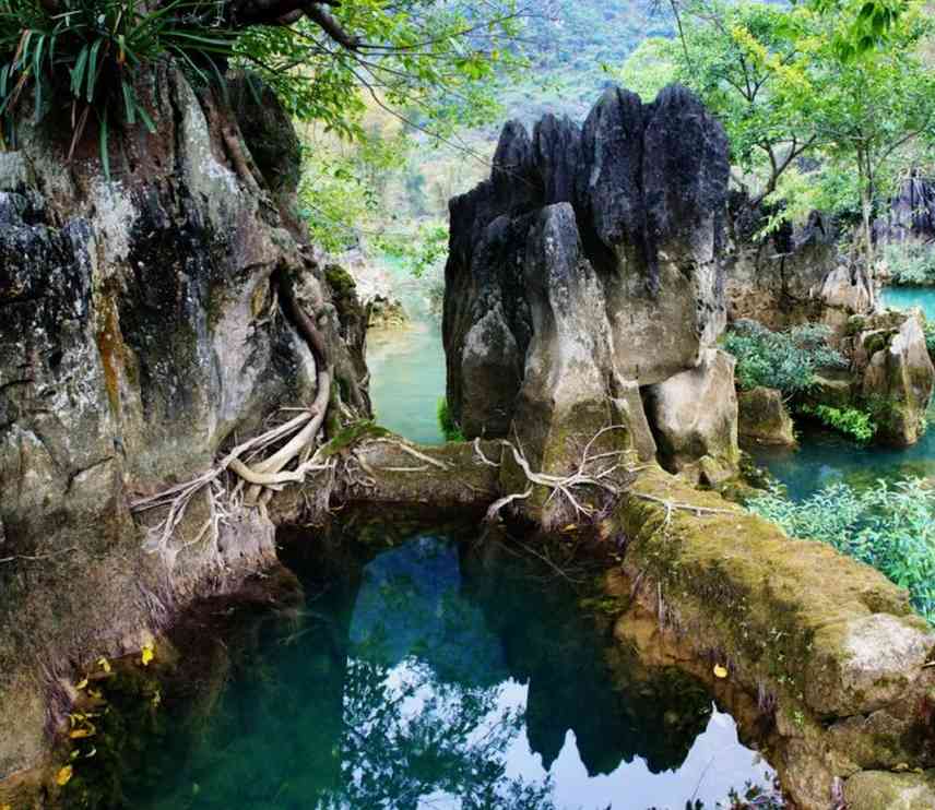 桂西北旅游攻略之五(龙洪田园风光)