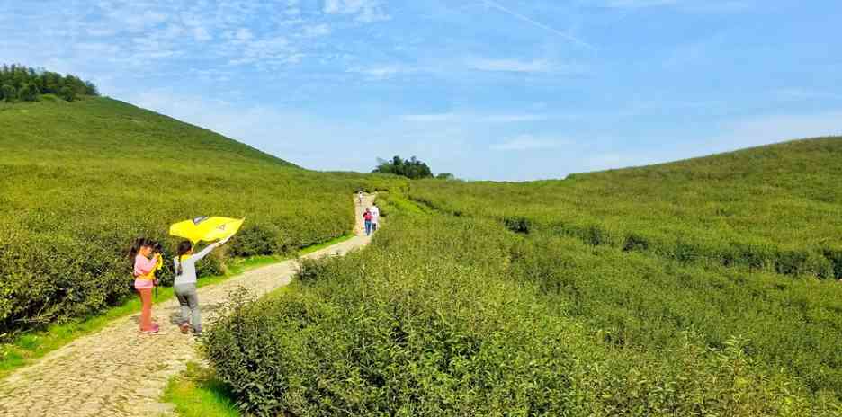 浙江宁波旅游景点大全_去宁波旅游哪个地方好玩?