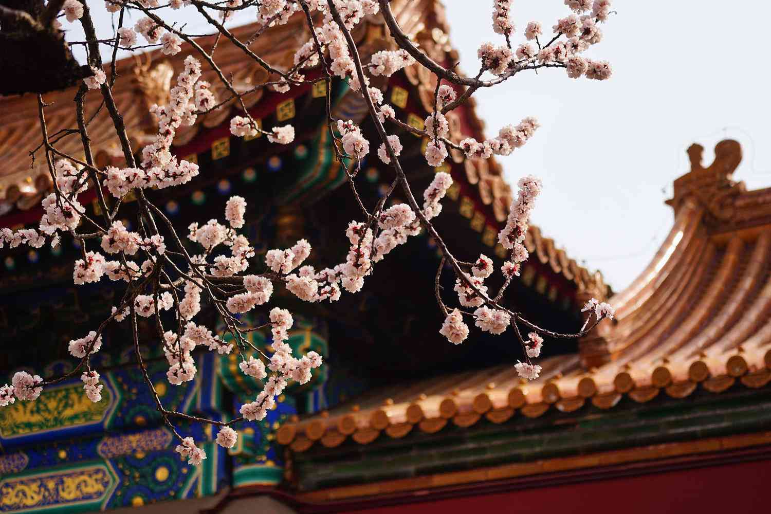从国庆北京出游热门景点来盘点最值得逛的地方!