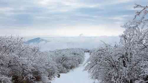 龙王山雪景什么时候有?徒步登顶难度大吗?
