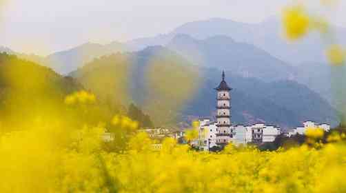 黄山所有A级景区向全国医护人员免费,具体免门票景点公布