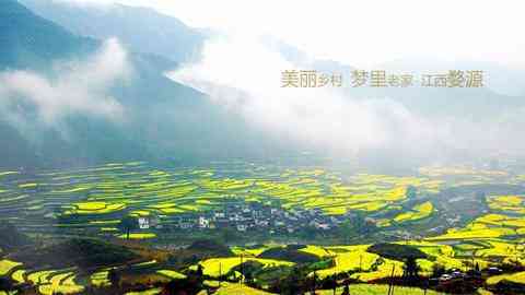 诱人的黄色!江西婺源油菜花独家摄影攻略大公开
