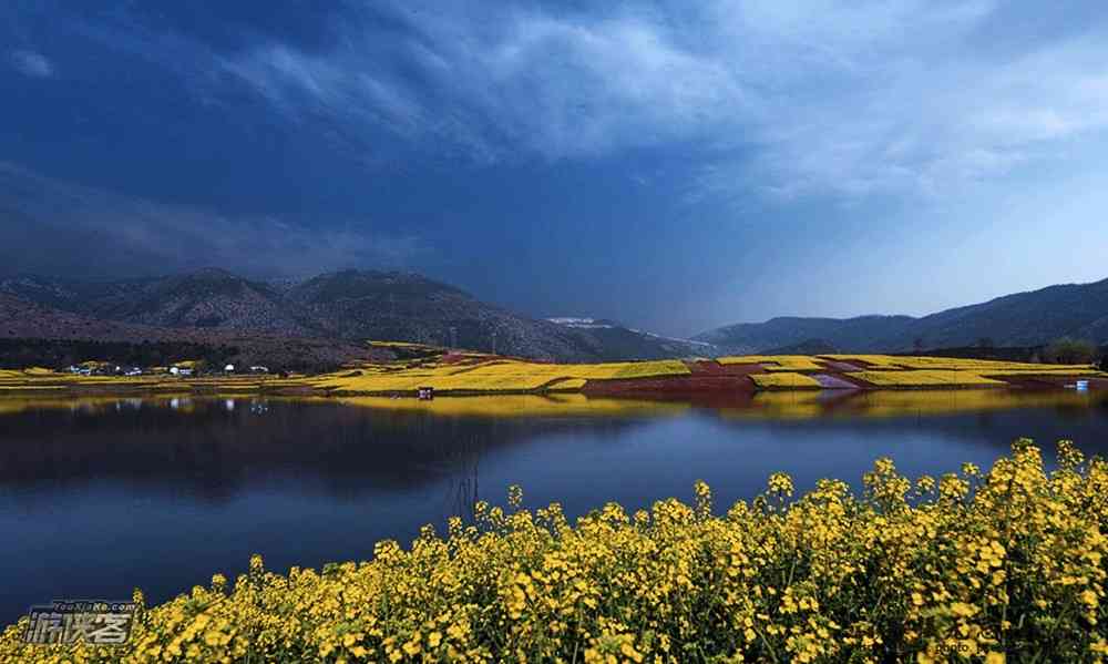 2018年汉中油菜花什么时候开,有什么好玩的?
