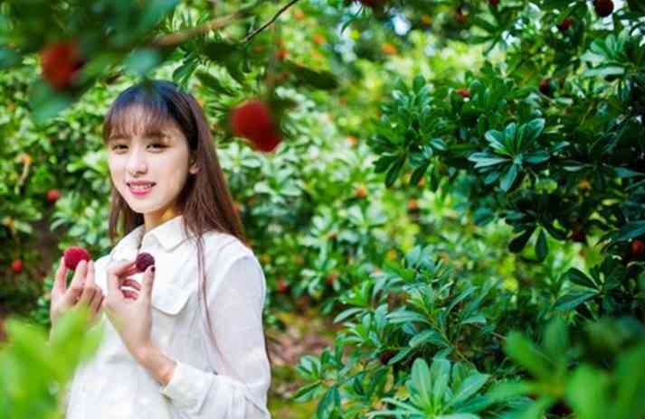 江浙沪哪里的杨梅好吃?杨梅采摘指南!