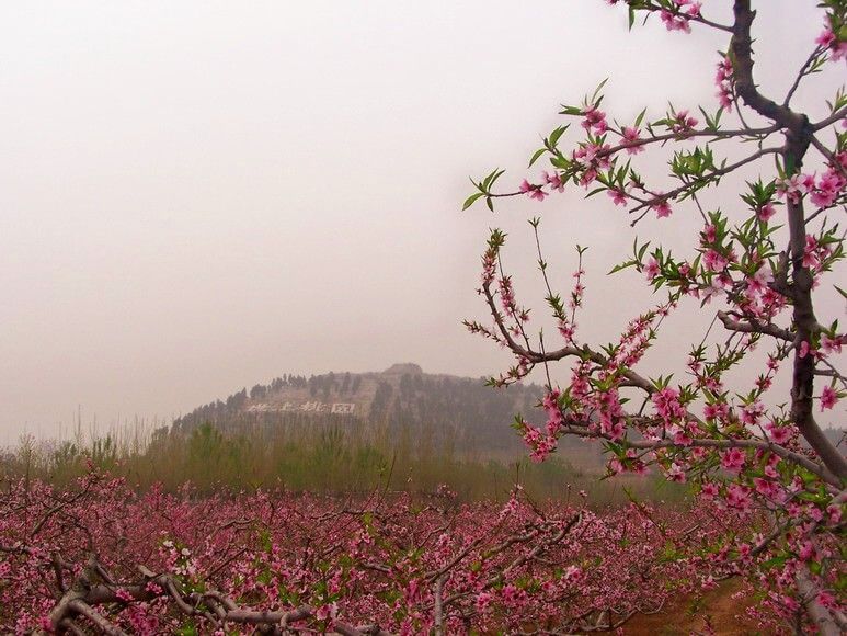 桃花源