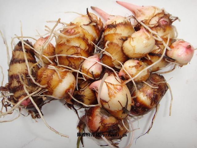 靖江香沙芋