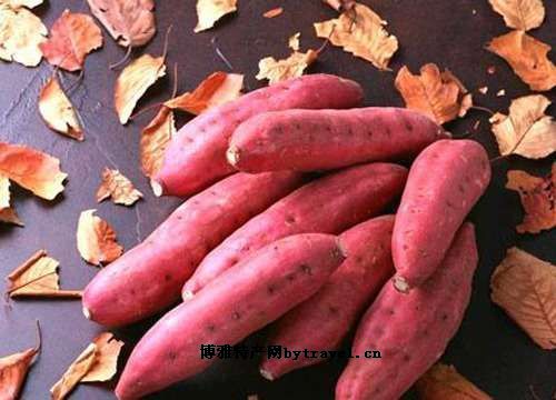 新蔡县红薯